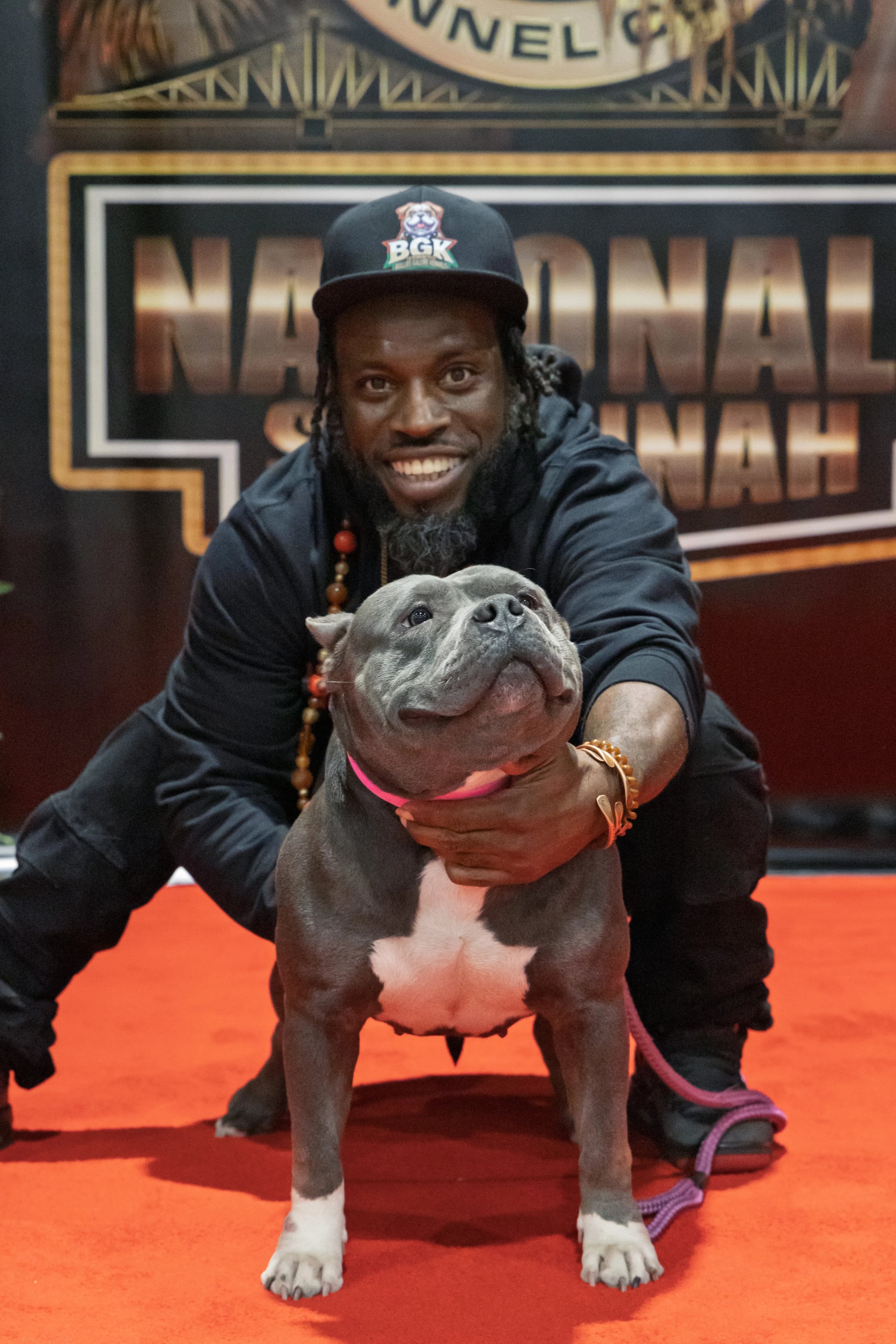 Blue Haze - National Champion - Best American Bully Stud